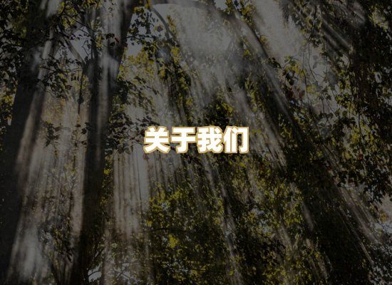 关于我们